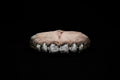 6 Silver Teeth: Diamond Dusted Laser Cut Tops image 0