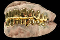 14k Gold 10 Top & 10 Bottom Plain Solid Set image 0