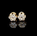 LE1478C 10K Yellow Gold