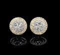 SE-31 14K Yellow Gold